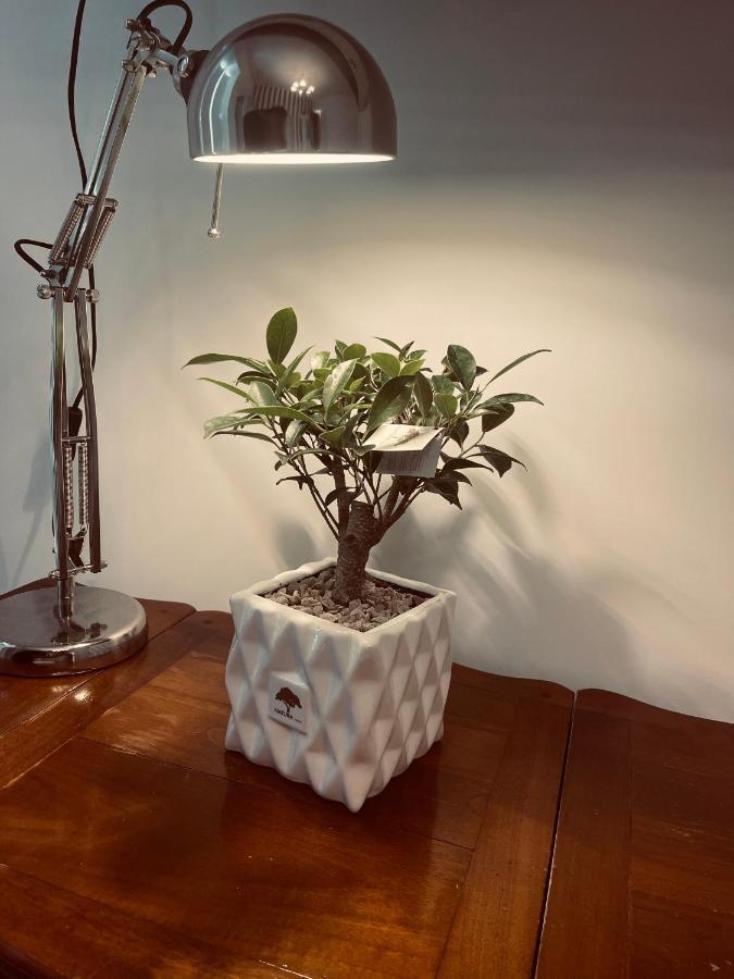 Villa Valminuta 에르콜라노 외부 사진